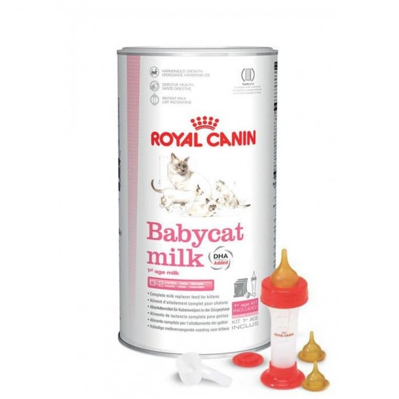 Royal Canin Babycat milk молочная смесь для котят 300 г | Первая  ветеринарная аптека в Ижевске