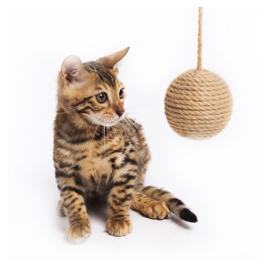 Petsiki Клубок малый с ручкой с кошачьей мятой игрушка для кошек 