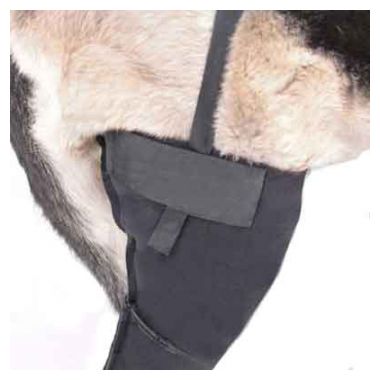 Бандаж Дружок для правого коленного сустава собак XL