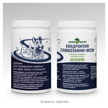 ArtroPro Хондроитин+Глюкозамин+МСМ 100 желатиновых капсул