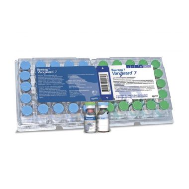 Вангард 7