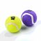 Теннисный мяч игрушка для собак