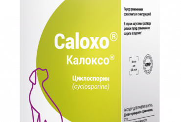 Калоксо 50 мл