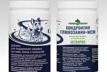 ArtroPro Хондроитин+Глюкозамин+МСМ 100 желатиновых капсул