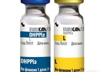Эурикан DHPPi L 1 доза